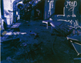 Moby, 2000. Tempera su stampa fotografica 110x150 cm